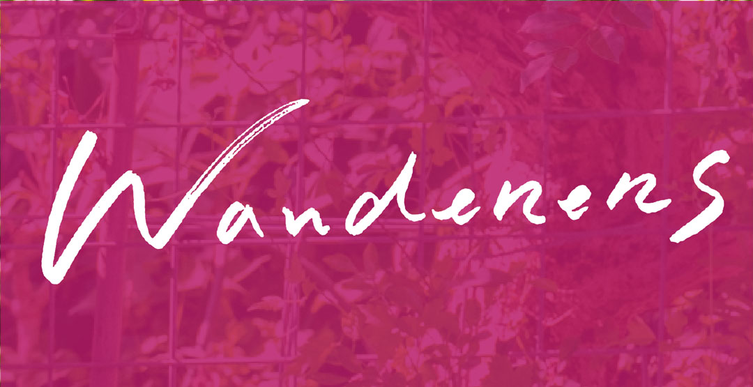 会場：WANDERERS STUDIO