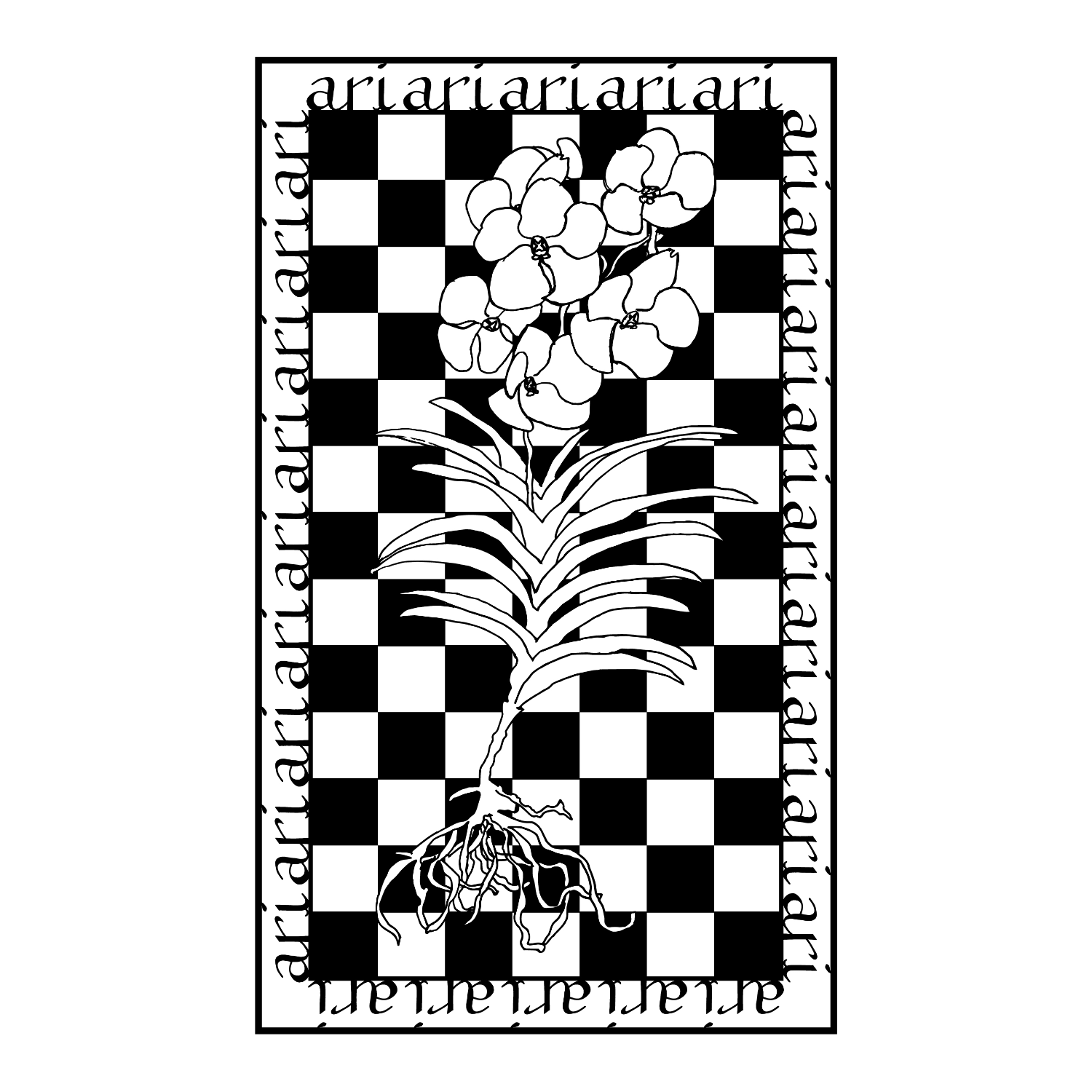 白黒チェックの背景に蘭の一種バンダのイラストが描かれたグラフィック。ari?ロゴが装飾で周囲を囲っている。